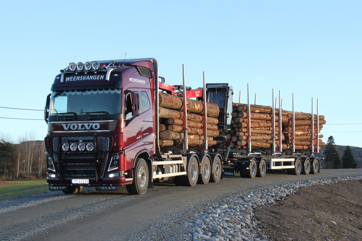 Vil modernisere tømmertransporten 