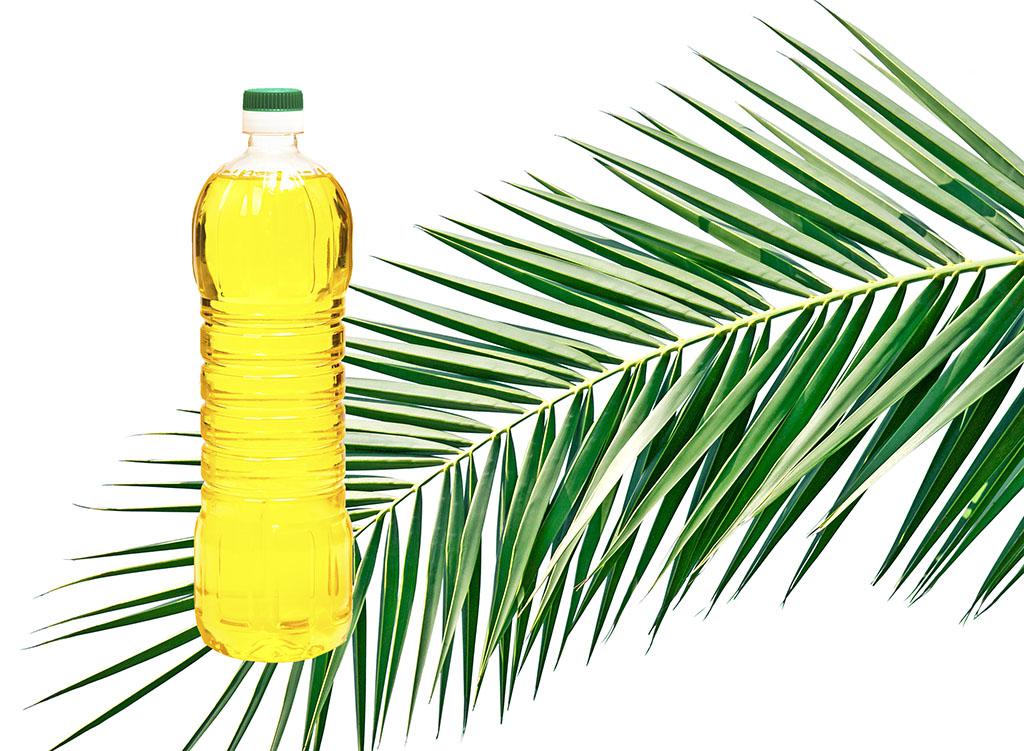 ZERO: Foretrekker biodiesel med palmeoljerester
