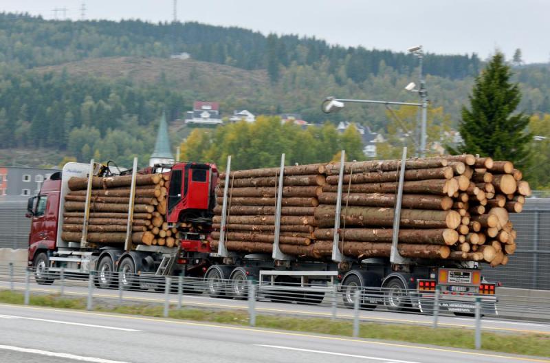 HØRING: Vegdirektoratet sender nå på høring forslag til endrede regler om tillatt høyde for slepvogn som inngår i tømmervogntog. Foto: Stig Odenrud