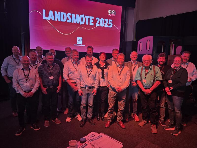 Noen av de som representerte regionen på landsmøtet