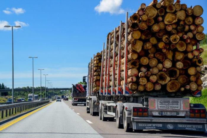 På landsbasis har lengden av fylkesveier som er åpne for tømmervogntog økt fra 26 prosent i oktober 2015 til 45 prosent i oktober 2017. Det forventes en ny økning når nye veilister publiseres i april. Foto: Knut Opeide, Statens vegvesen