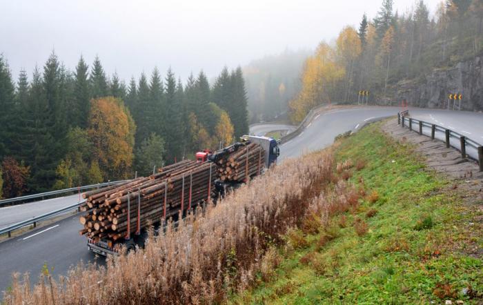 STORT VEGNETTVERK: Tillate vegnettverk for tømmertransport er på ca. 55 000 kilometer. NLF kjemper for at modulvogntog skal også kunne bruke disse veiene. Foto: Stig Odenrud