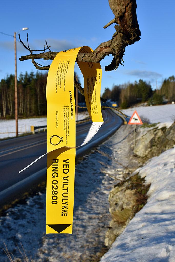 Slik bruker du viltbåndet. Heng det opp der dyret løp til skogs, så kan Viltnemdas sporingshunder lettere få ferten av dyret. Foto: Stein Inge Stølen