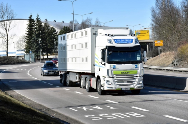 Kjøre- og hviletid: Unntak ved transport av lam