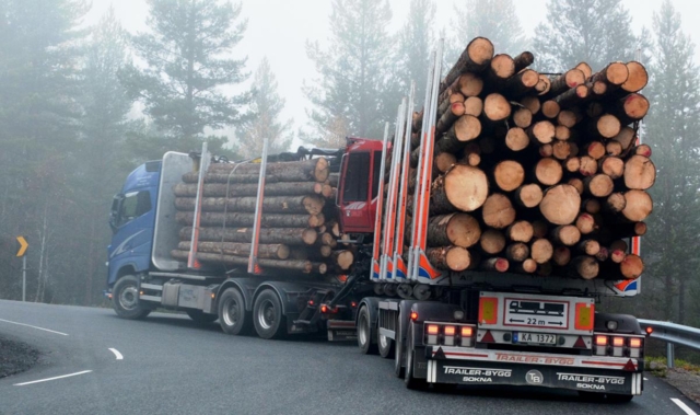 Får fart på tømmeret