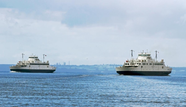 Fortsatt år med køer i Moss