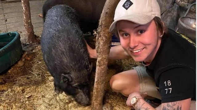 Gaute gris rømte fra lasteplanet, stengte tunnel og fant kjærligheten