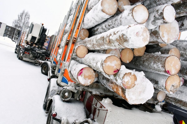 Viktig milepæl for tømmertransport