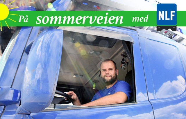 Stortrives på norske veger