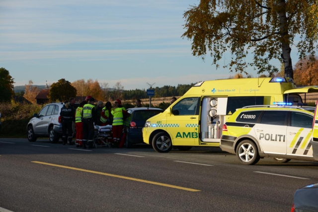 Vegdirektørens svar på tiltale