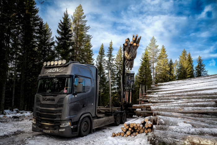 MÅ HA GODE FERDIGHETER: For å kjøre tømmerbil skal håndtere en tjuefire meter lang og seksti tonn tung lastebil, med over førti kubikk tømmer på smale skogsbilveier. I tillegg skal sjåføren bruke krana for å laste tømmeret fra tømmerlunna og opp på bilen på forskriftsmessig måte. Foto: Jan Egil Sandstad