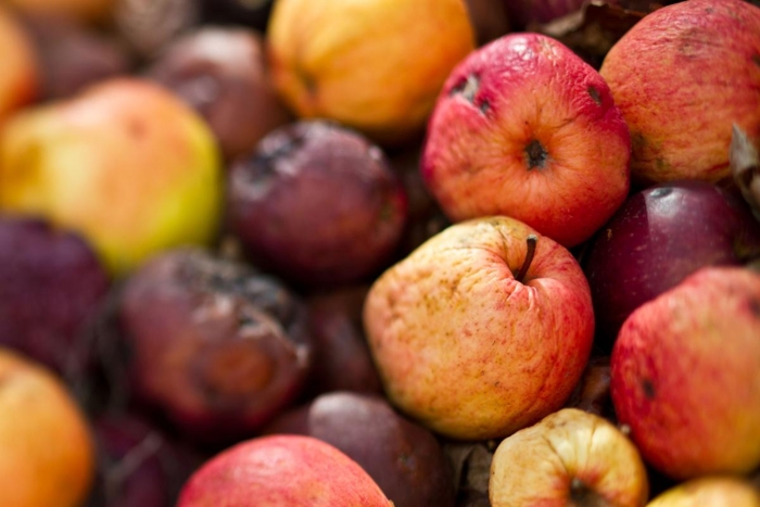 Det første en vil miste hvis lastebilene slutter å kjøre, er ferskvarer som frukt og grønt. Illustrasjonsbilde: Colourbox