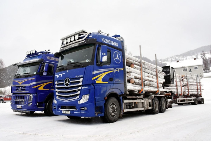 Nå er selskapet solgt til Viken Skog, men bilene bærer fortsatt den samme logoen. Foto: Stein Inge Stølen